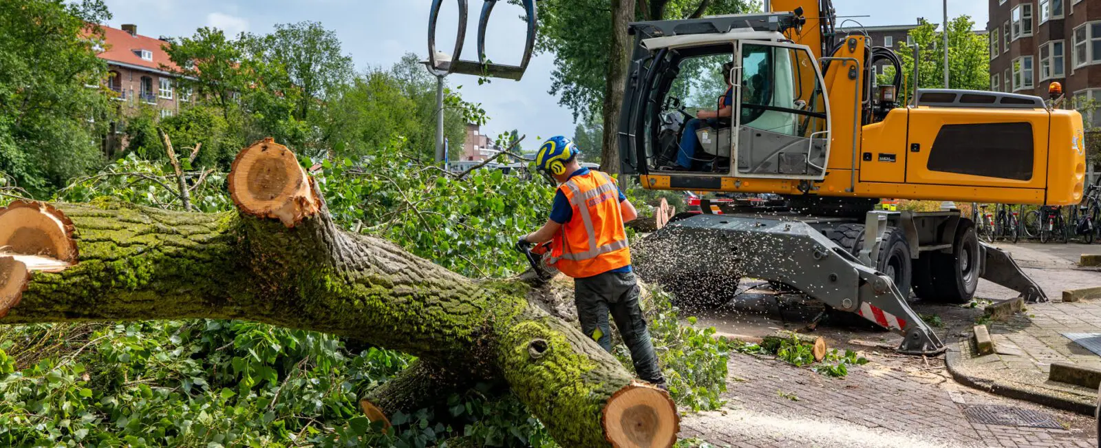 Groenvoorziening